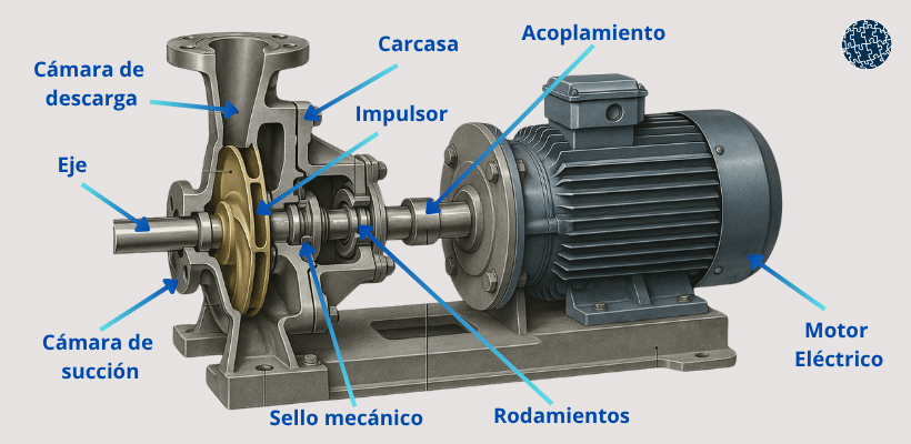 Componentes de una bomba industrial